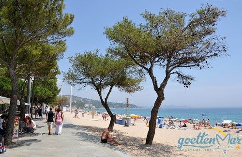 Playa De Aro Das Ideal Der Costa Brava Dein Perfekter Urlaub